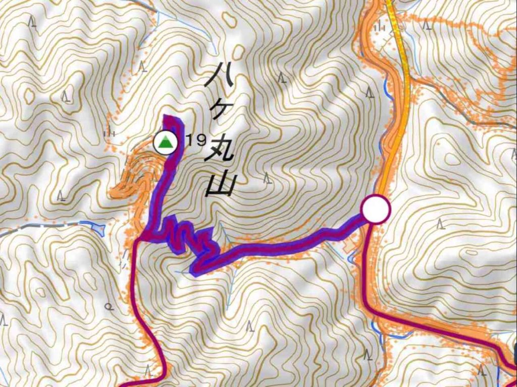 八ヶ丸山（槙尾山グリーンランド ハイキングコース