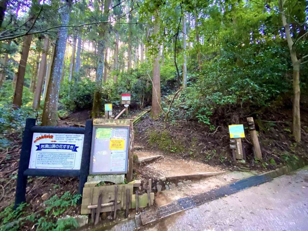岩湧寺のハイキングコース