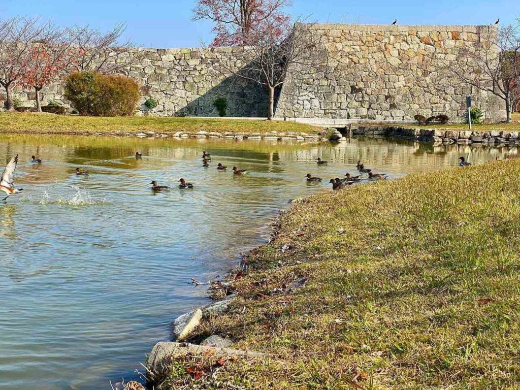 赤穂城の遊水地