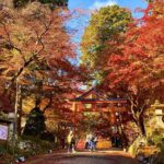 日吉大社の境内に色づく紅葉