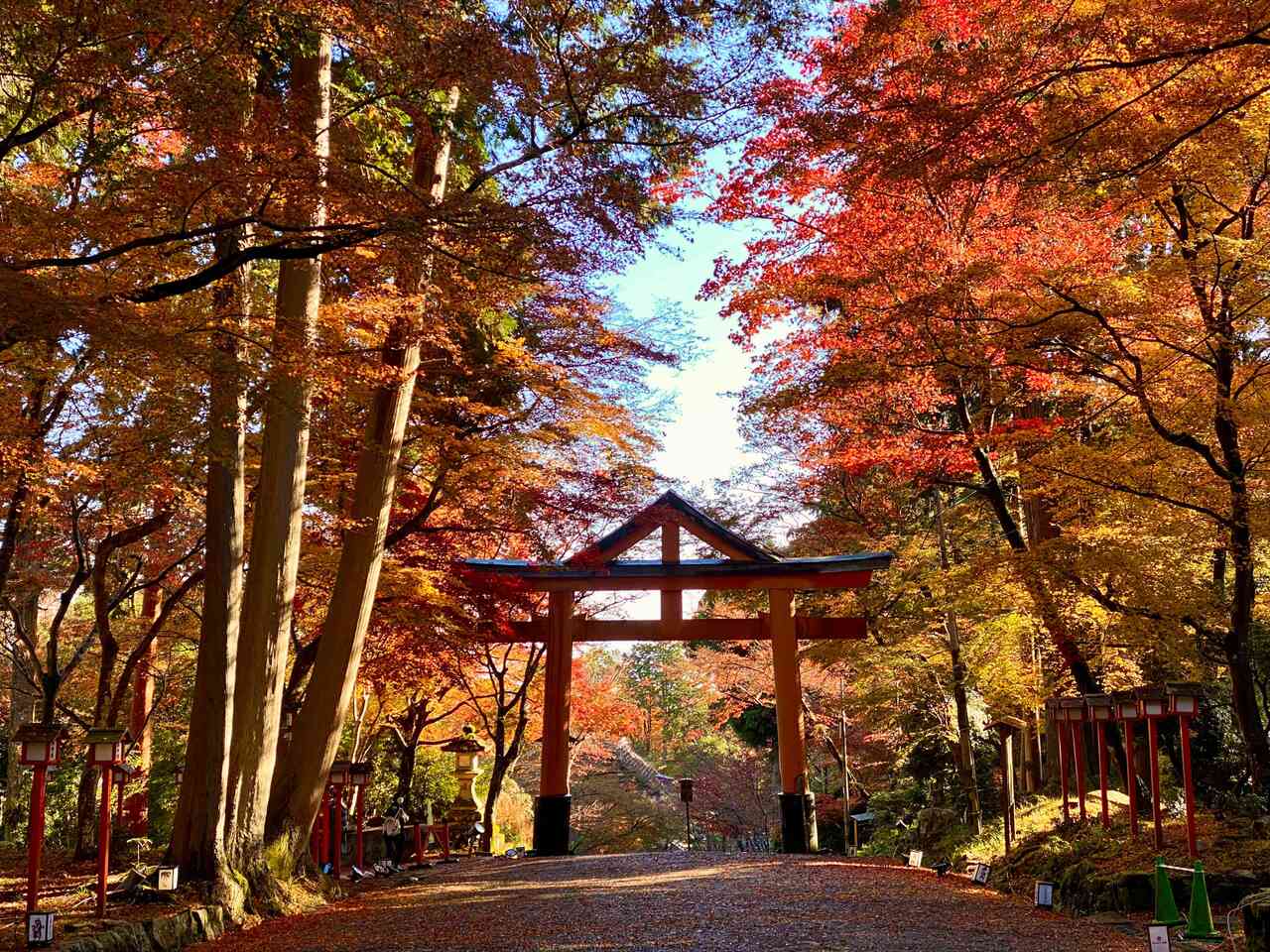 日吉大社の境内に色づく紅葉