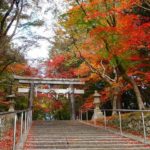 大原野神社の紅葉