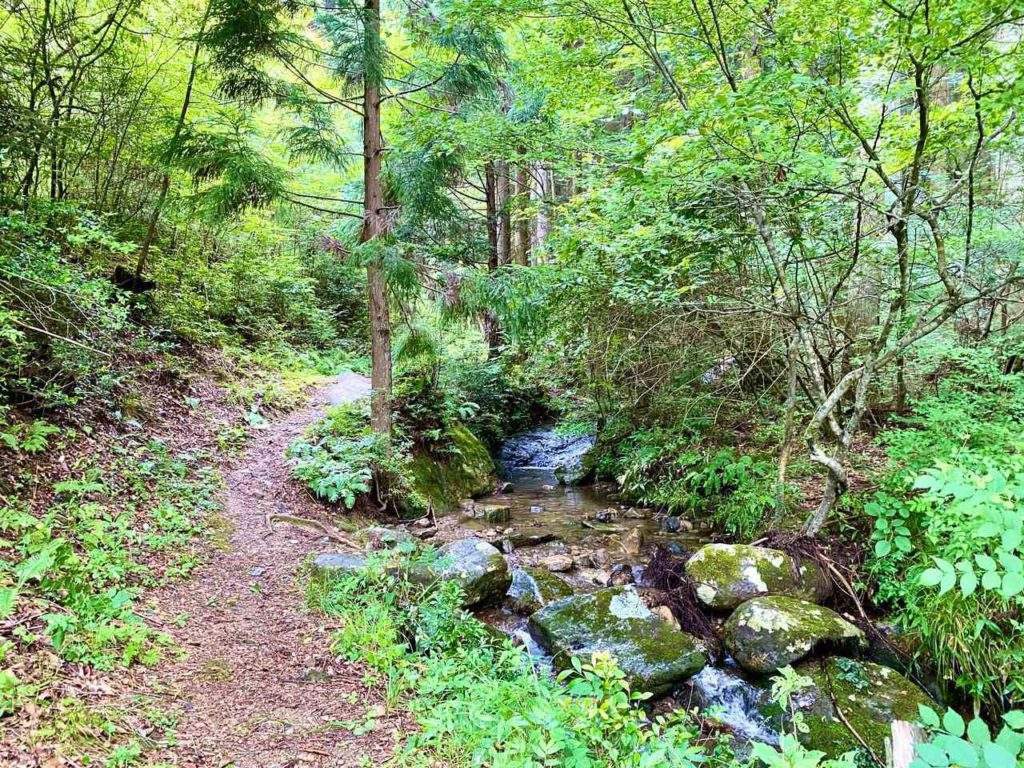 丹波篠山渓谷の森公園